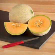 Load image into Gallery viewer, Cucumbers, Zucchini, Green Beans, Snap Peas, Pumpkins, Melons, and Ground Cherry