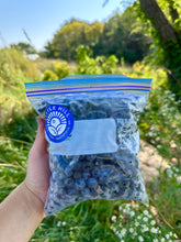 Load image into Gallery viewer, Frozen Organic Blueberries
