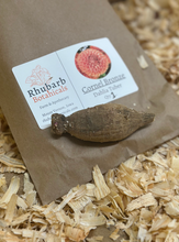 Load image into Gallery viewer, Dahlia Tubers