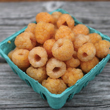 Load image into Gallery viewer, Raspberry Plants, 1 year old dormant bare root plant