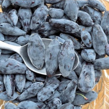 Load image into Gallery viewer, Honeyberry Plants, 1 gallon pot