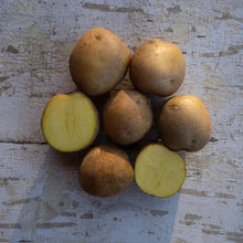 Load image into Gallery viewer, Seed Potatoes, 1 pound