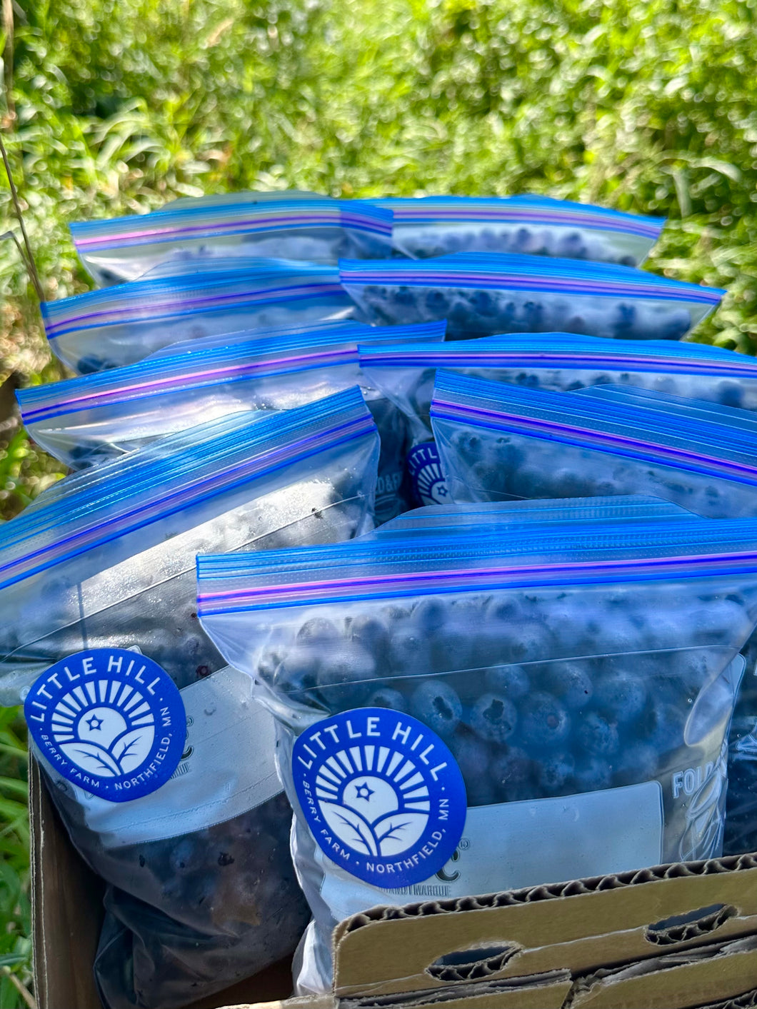 Frozen Organic Blueberries
