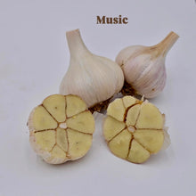 Load image into Gallery viewer, Organic Seed Garlic, 1 bulb
