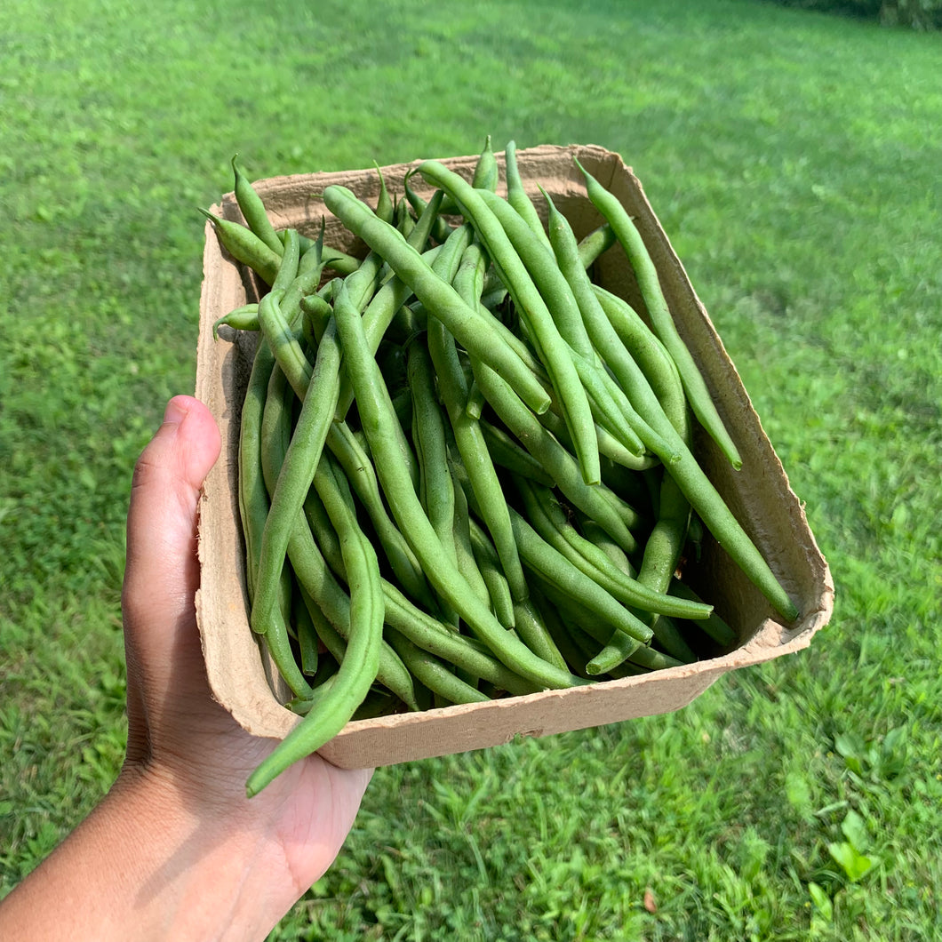 Organic Green Beans
