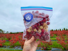 Load image into Gallery viewer, Frozen Organic Raspberries
