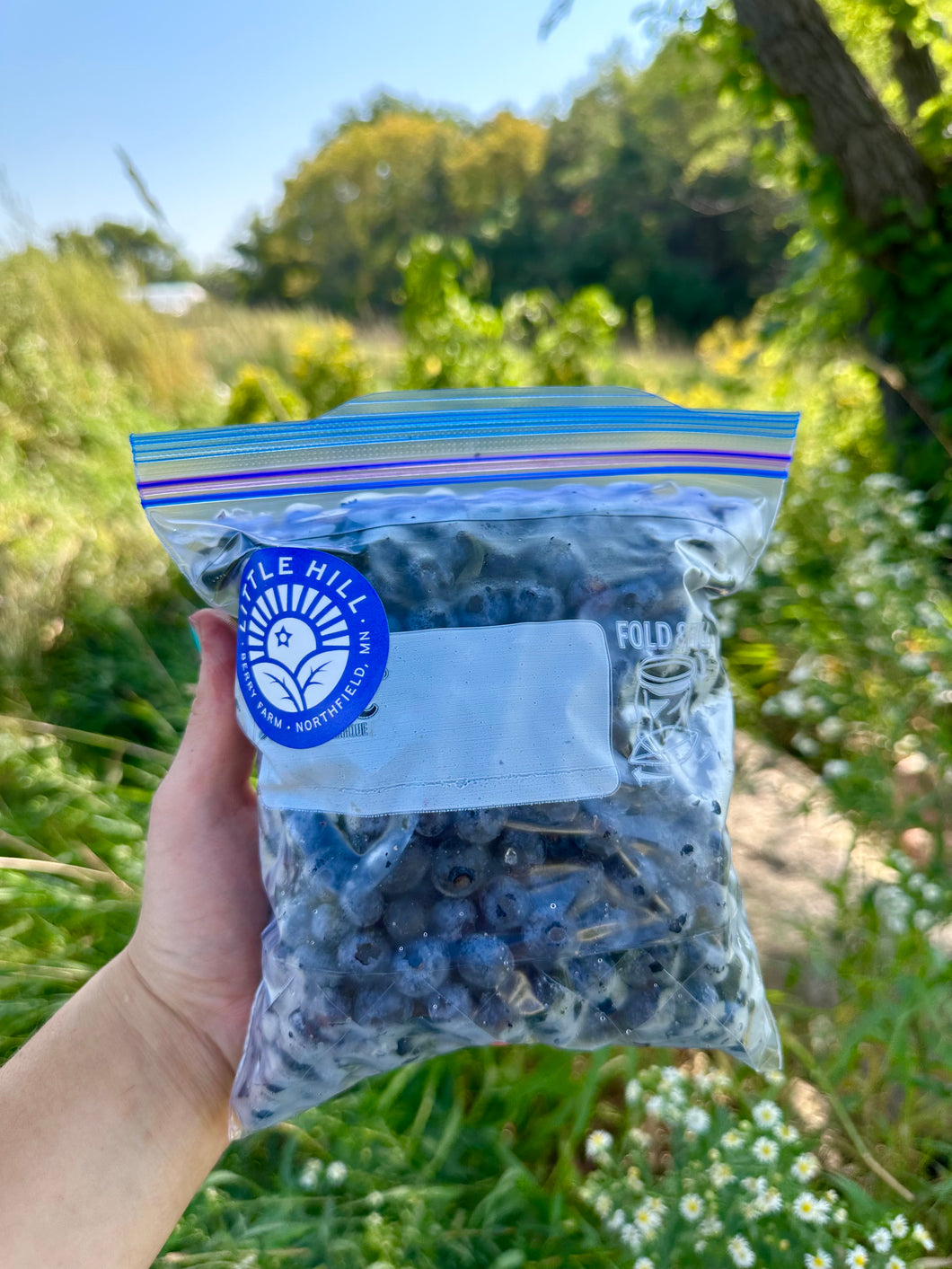 Frozen Organic Blueberries