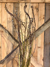 Load image into Gallery viewer, Pussy Willow Branches (Bunch of 20)
