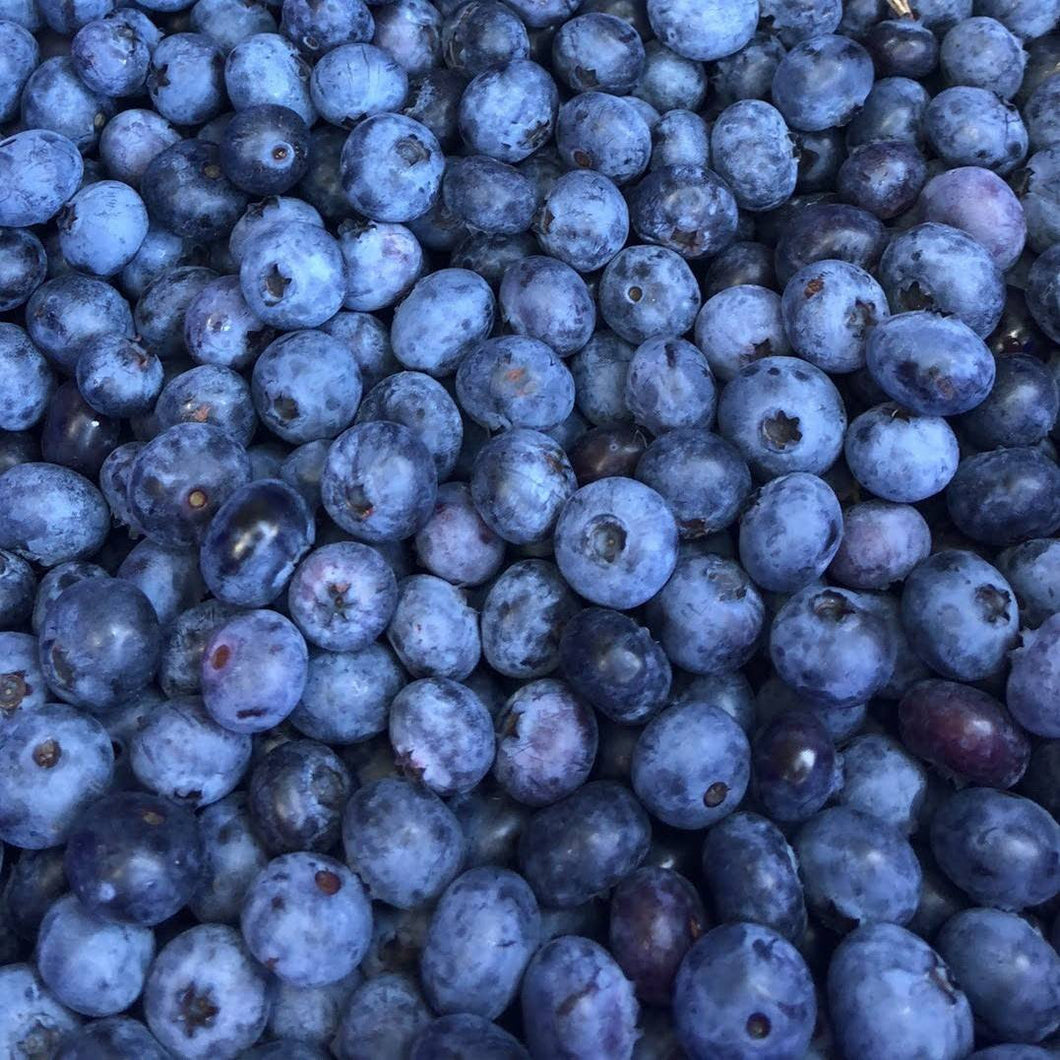 Frozen Organic Blueberries from Blue Fruit Farm