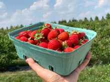 Load image into Gallery viewer, Organic Strawberries
