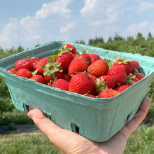 Load image into Gallery viewer, Organic Strawberries
