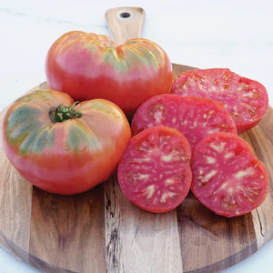 Tomato Plant Starts