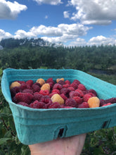 Load image into Gallery viewer, Organic Raspberries
